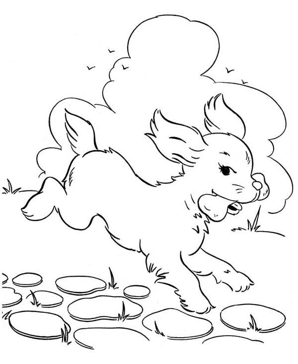 Dog eats delicous bone coloring page dog coloring page fox coloring page coloring pages