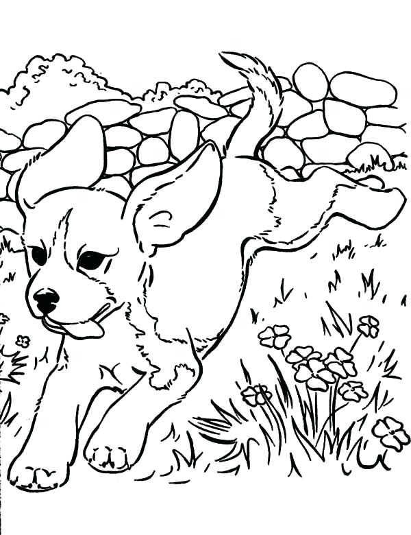 Printable dog coloring pages pdf for kids