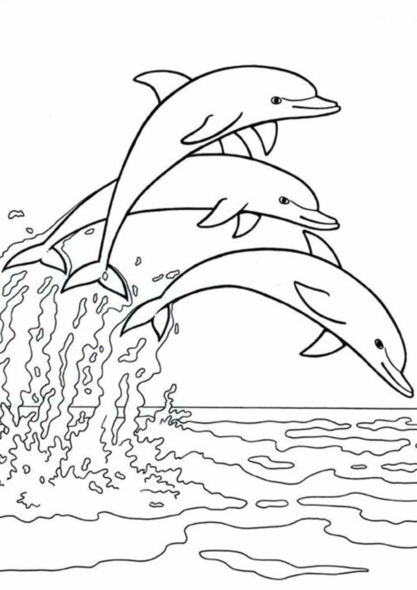 Free easy to print dolphin coloring pages dolphin coloring pages animal coloring pages coloring pages