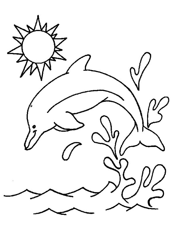 Coloring pages free printable dolphin coloring pages