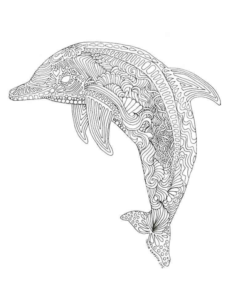 Dolphin coloring pages for adults