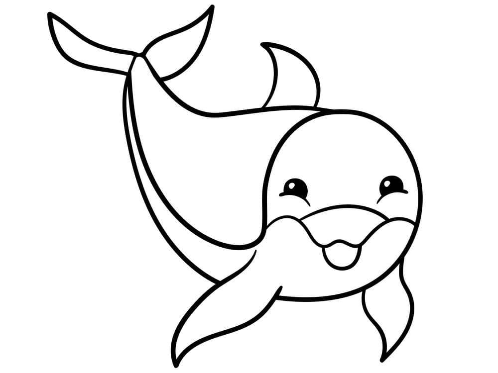 Free dolphin coloring page
