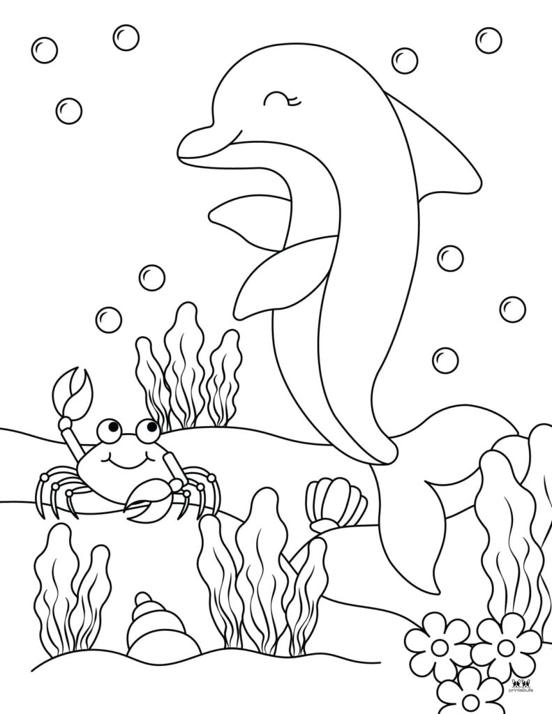 Dolphin coloring pages templates