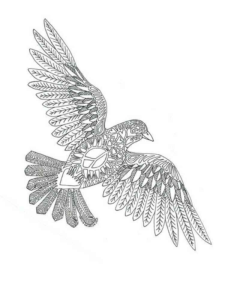 Dove coloring pages for adults