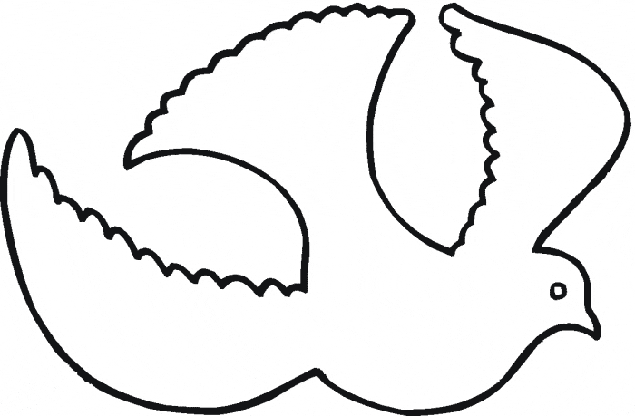 Pigeon coloring page