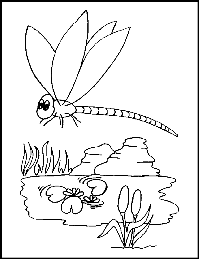 Free printable dragonfly coloring pages for kids