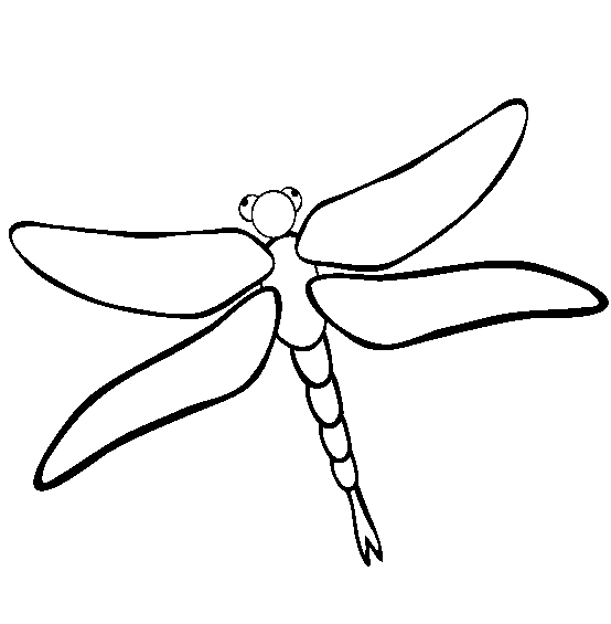 Dragonfly coloring page