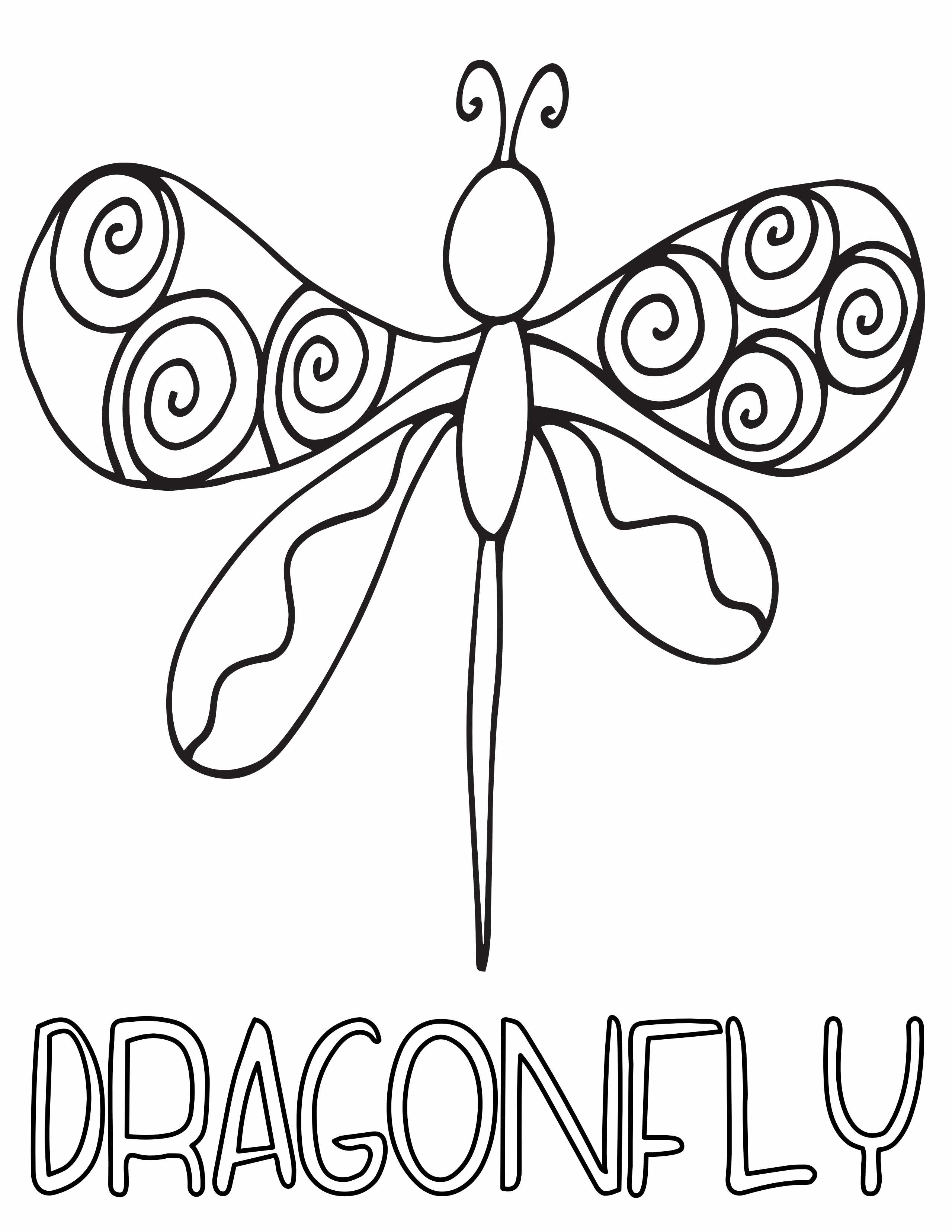 Free dragonfly coloring pages â stevie doodles