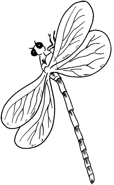 Dragonfly coloring page