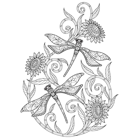 Digital printable beautiful dragonfly coloring pages medium difficulty details pages