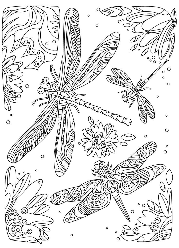 Printable coloring pages fairy coloring pages insect coloring pages coloring book pages