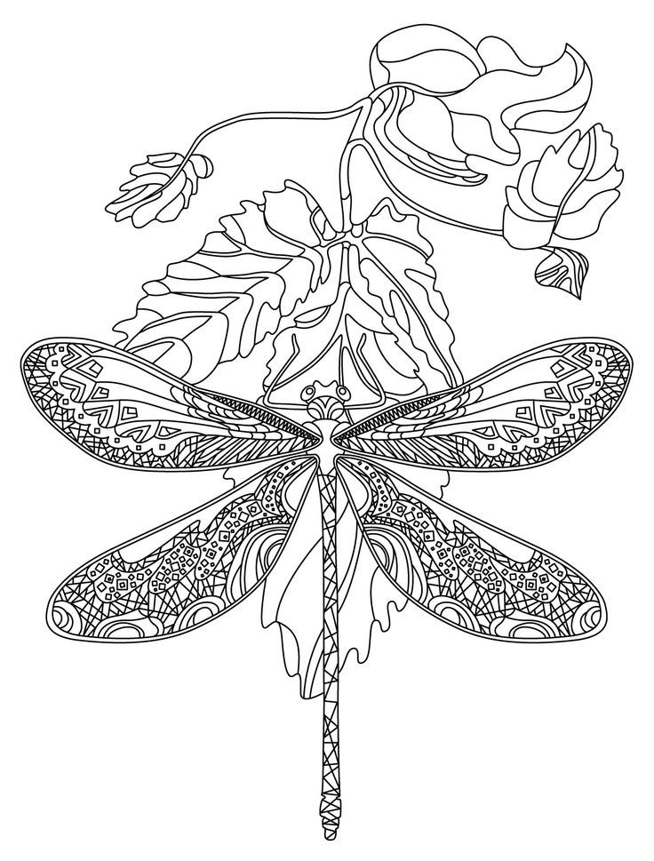 Printable coloring pages mandala coloring pages free adult coloring pages flower coloring pages