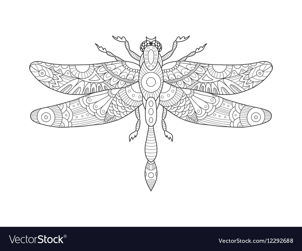 Dragonfly coloring book for adults royalty free vector image