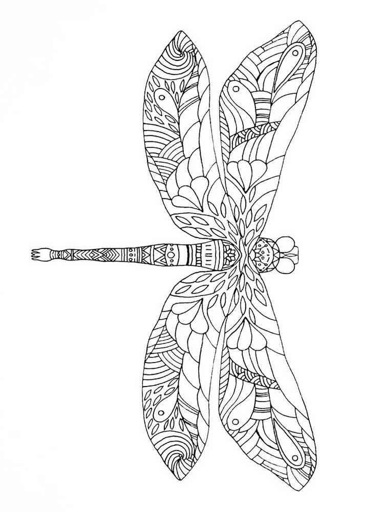 Dragonfly coloring pages for adults