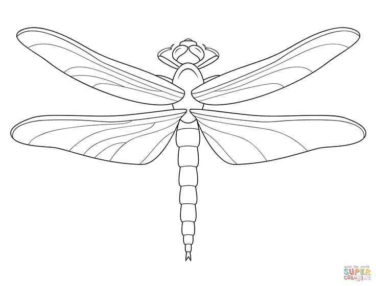 Mermaids fairies fantasy coloring books for grown