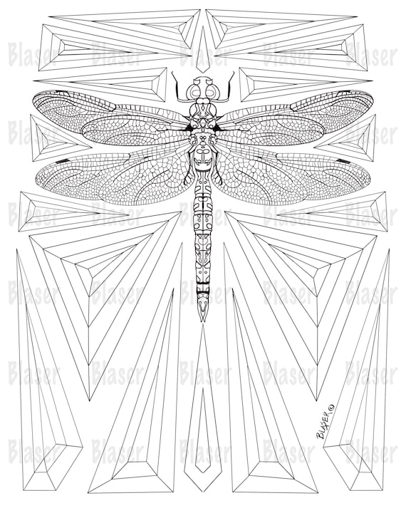 Coloring page dragonfly printable symmetrical coloring digital download adults kids insect
