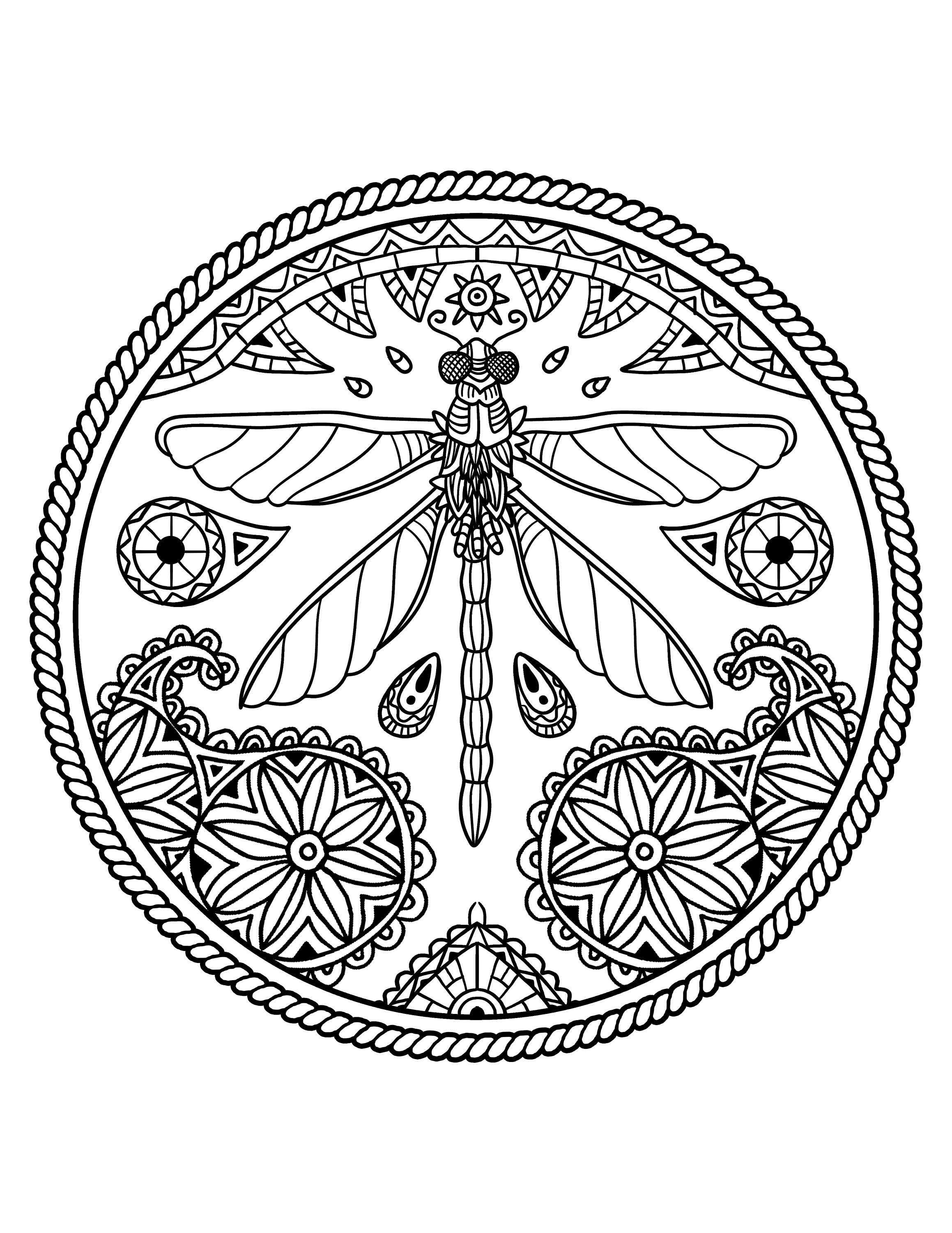 Printable mandala dragonfly coloring page digital download beautiful dragonfly