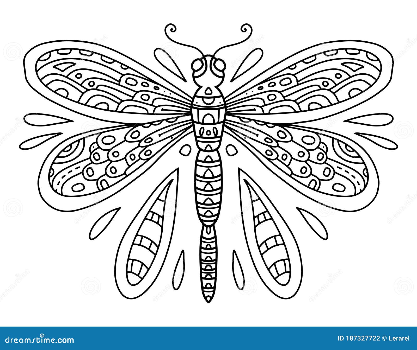 Vector coloring book with dragonfly line art black and white illustration insect with wings and small details stock illustration