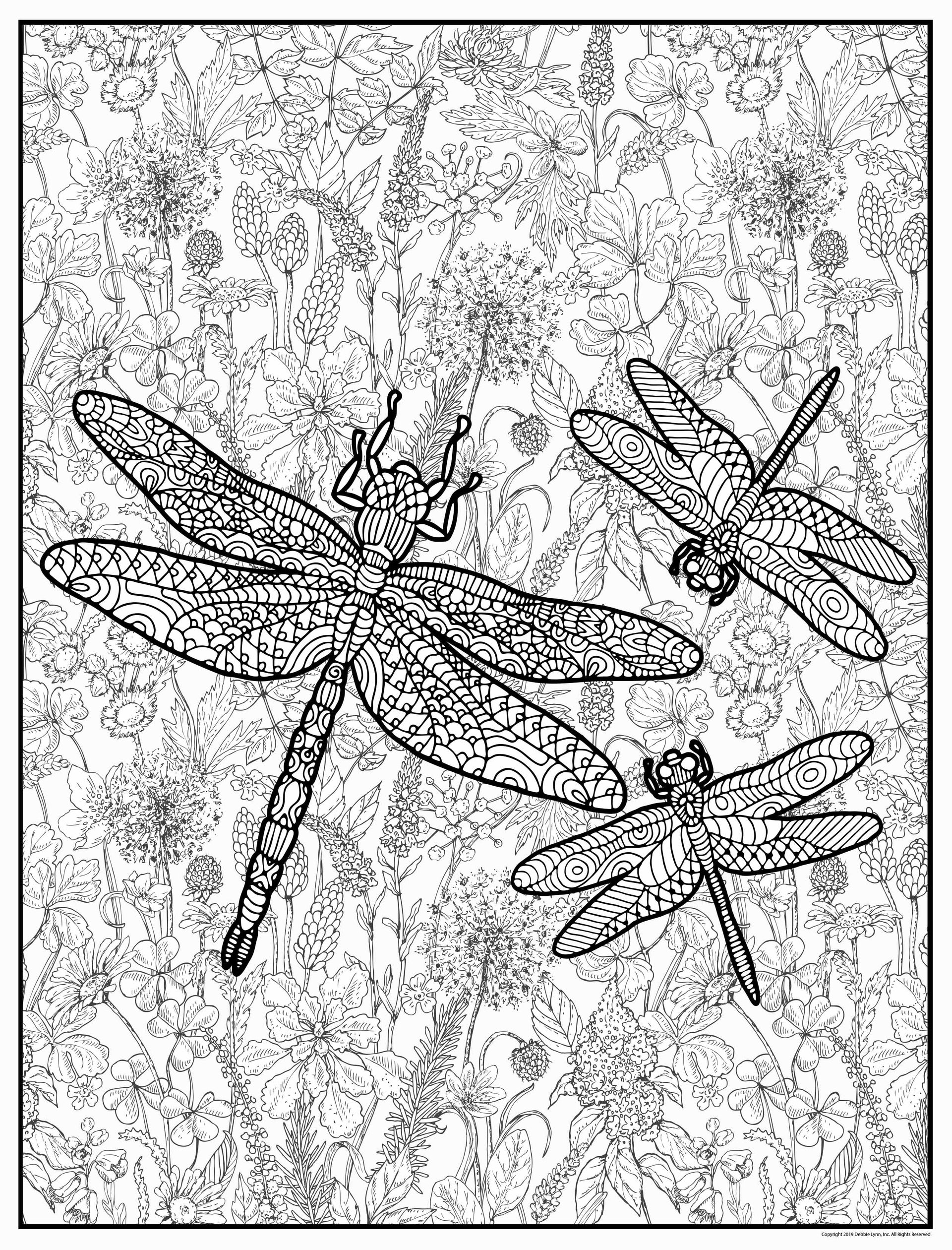 Dragonflies personalized giant coloring poster x â debbie lynn