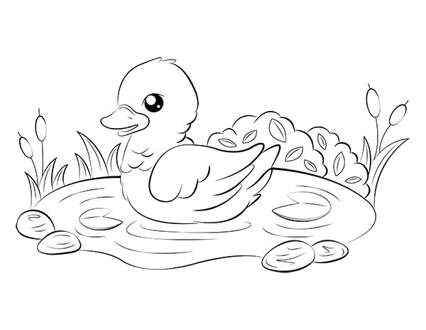 Free printable duckling coloring page download it at httpsmuseprintablesdownloadcoloring