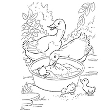 Top free printable duck coloring pages online