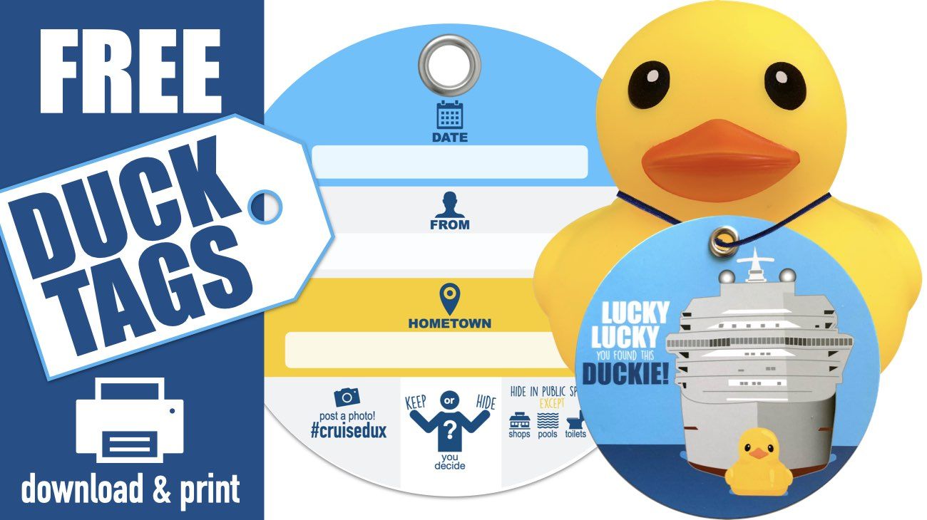 Cruise ducks
