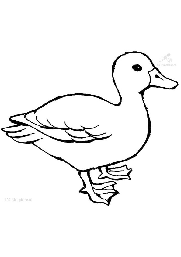 Coloring pages duck coloring pages for kids