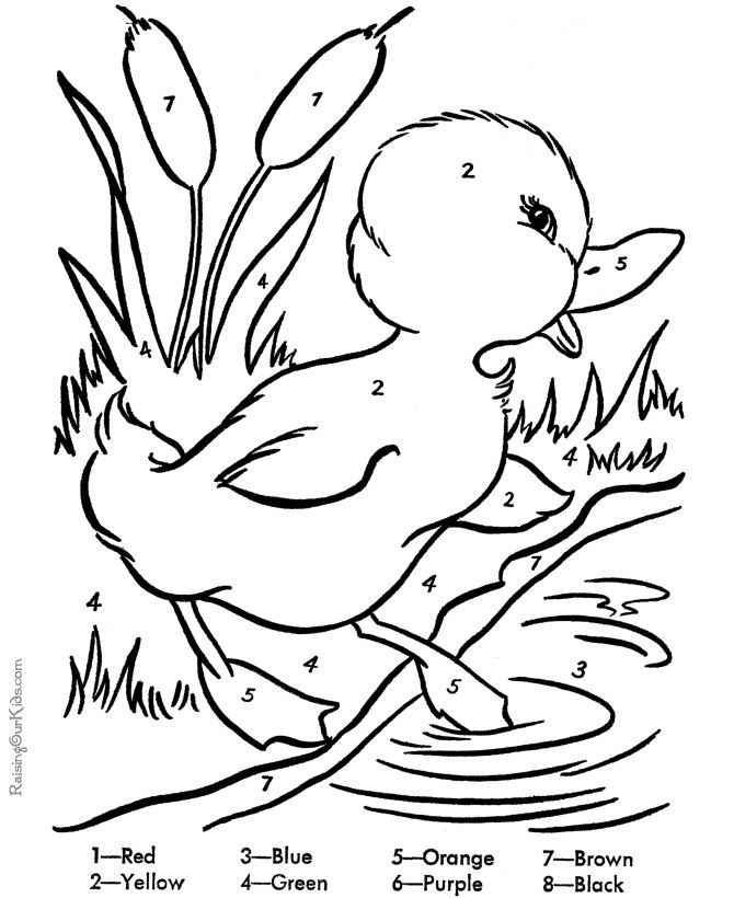 Free easter coloring page of duck