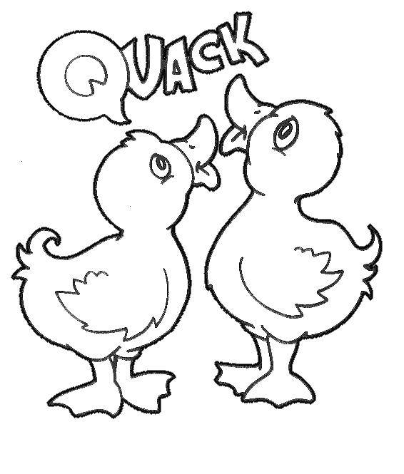Online coloring pages coloring page two ducks quack animals download print coloring page