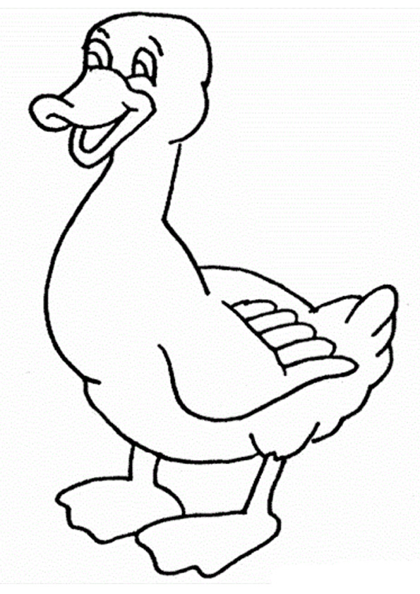 Coloring pages duck printable coloring pages
