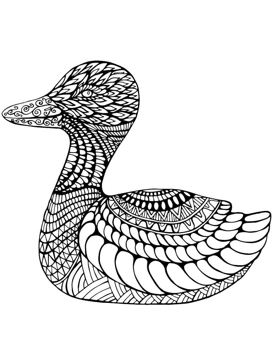 Free printable duck coloring pages for adults