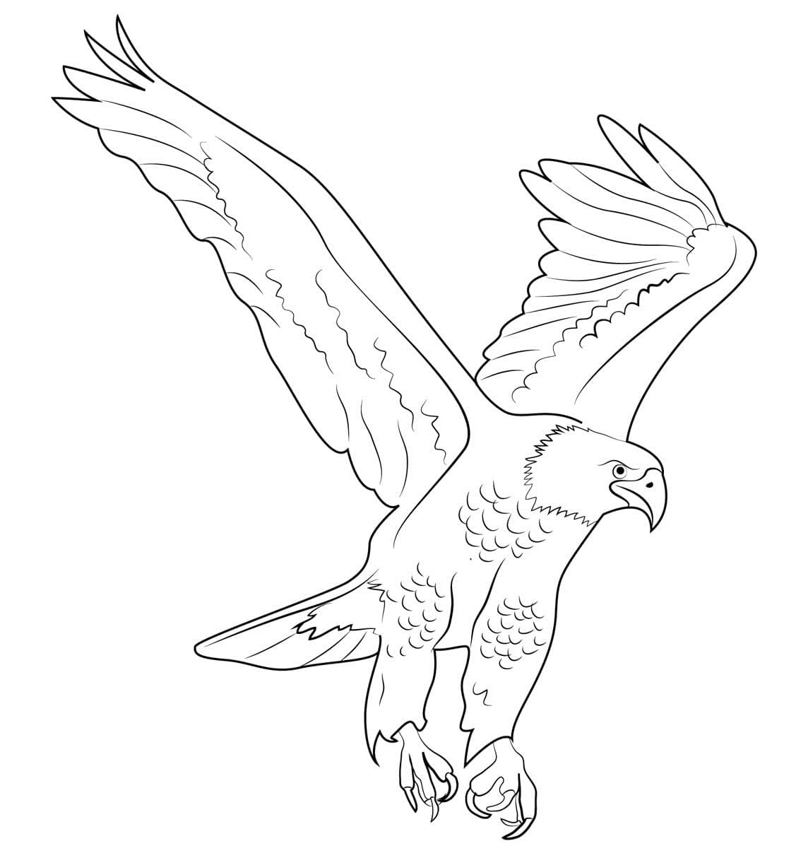 Bald eagle coloring pages printable for free download