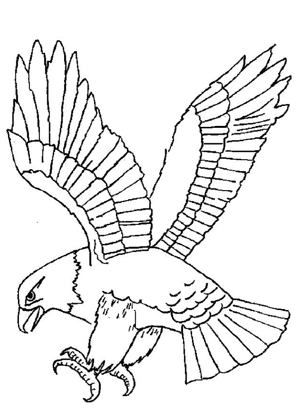 Coloring pages printable free eagle coloring pages
