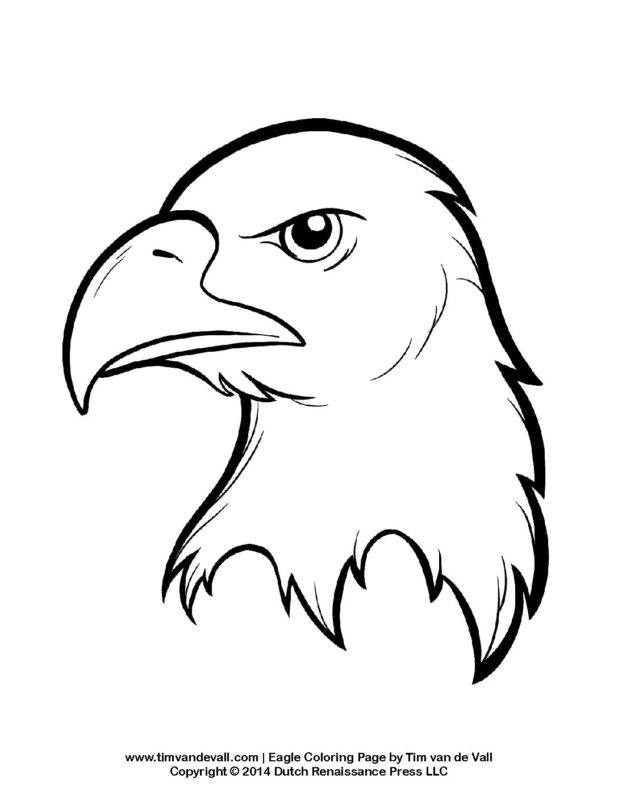 Bald eagle coloring page â tims printables