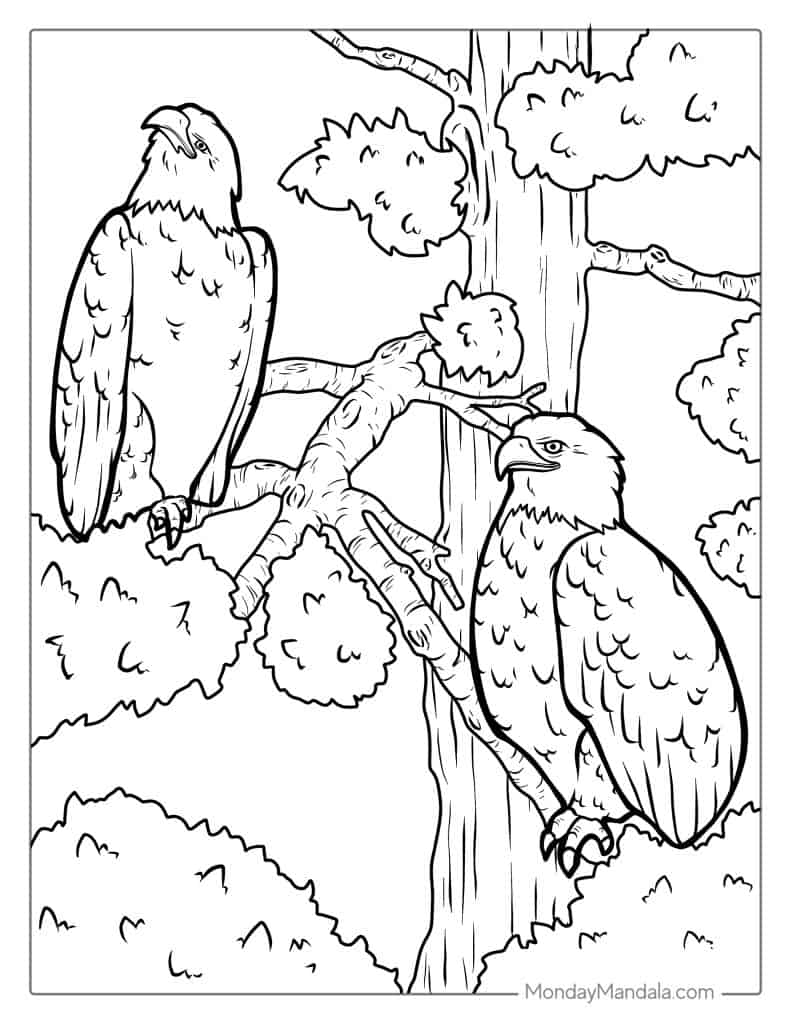 Bald eagle coloring pages free pdf printables