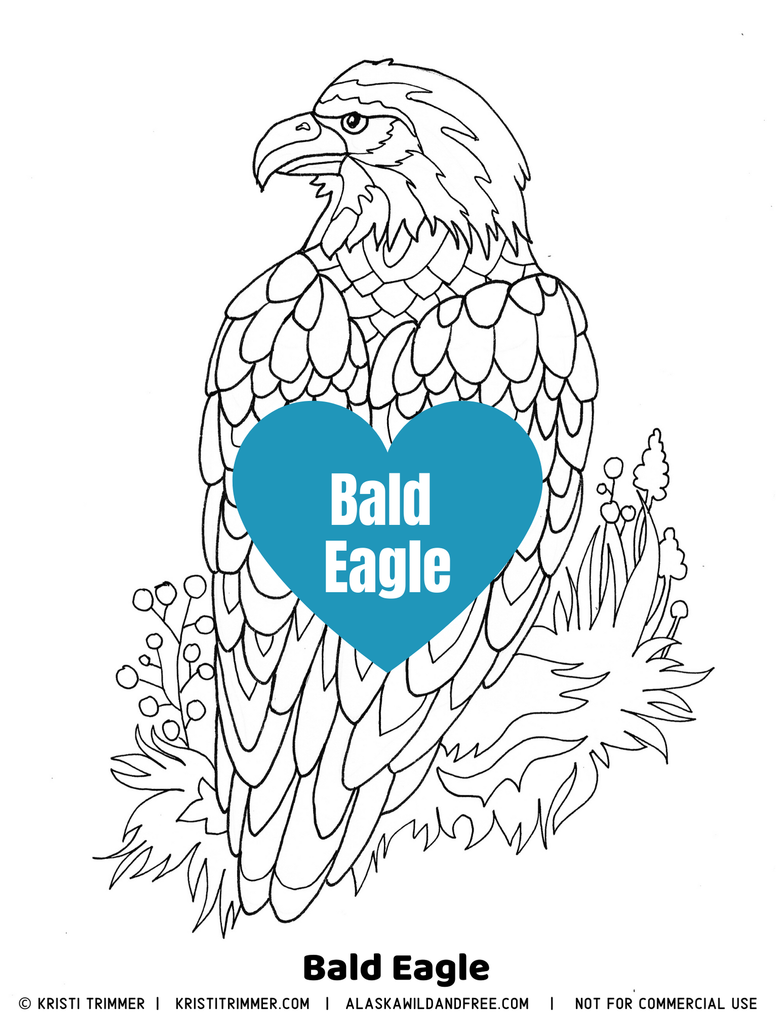 Color bald eagle coloring pages â alaska wild free