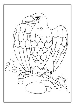 Discover the majesty of eagles with our printable coloring pages collection p