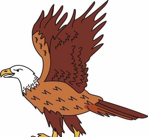 Eagle coloring pages for kids to color and print