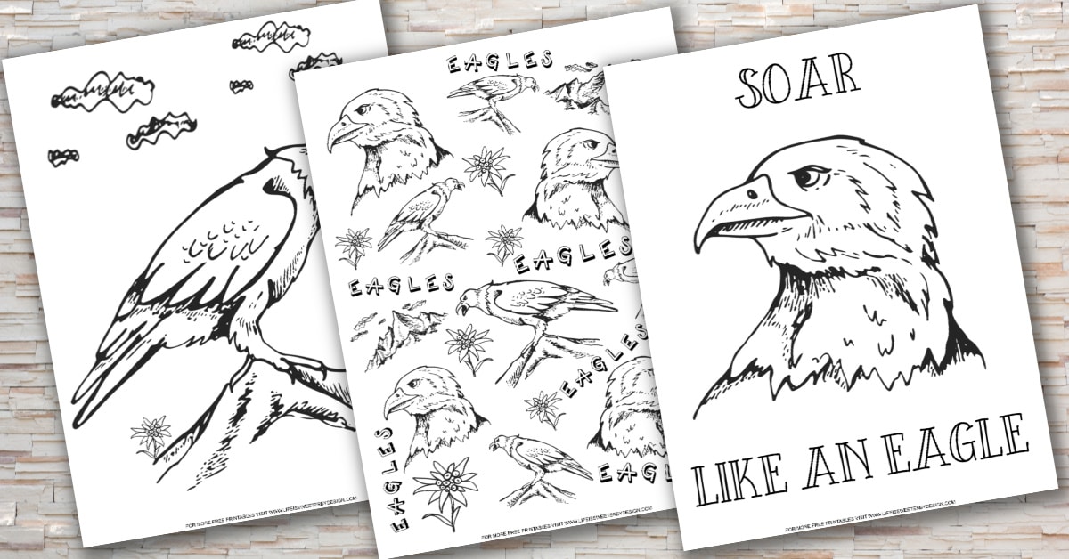 Eagle color pages
