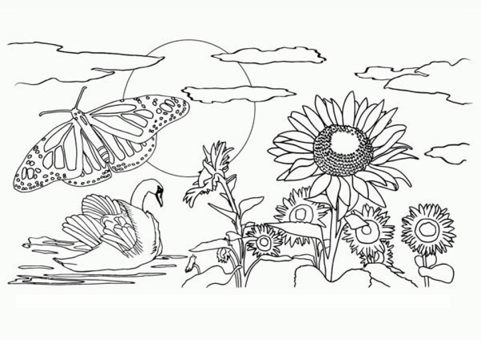 Get this easy preschool printable of nature coloring pages qovf