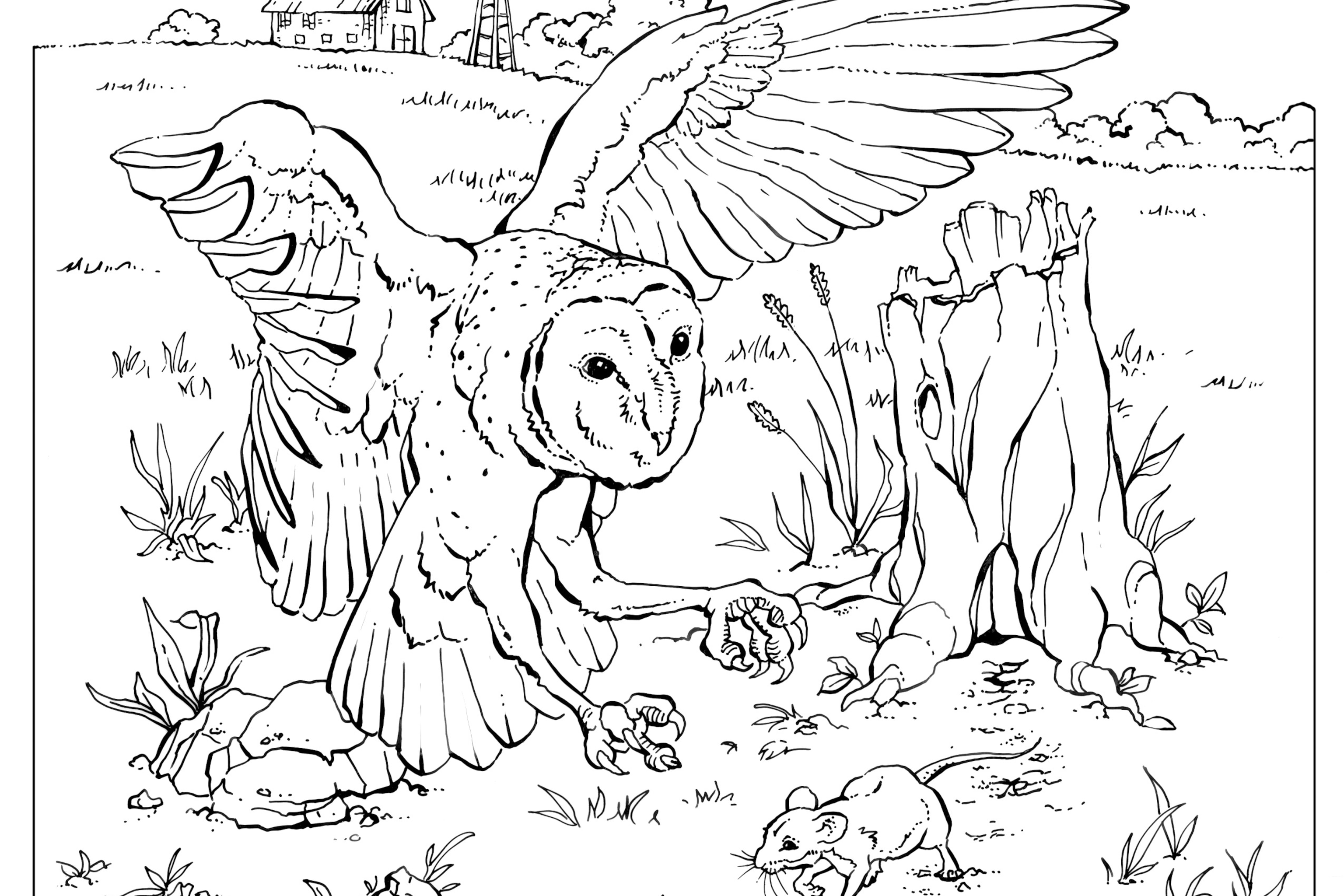 Coloring book animals a to i