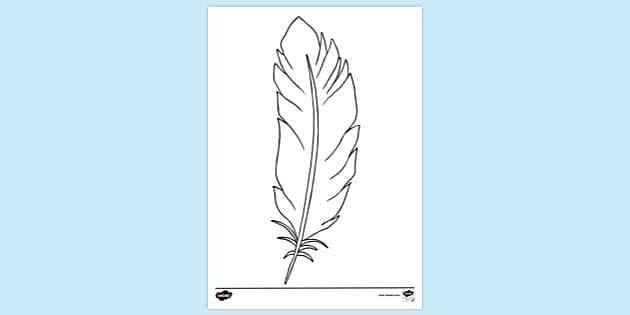 Feather template stralian resource foundation