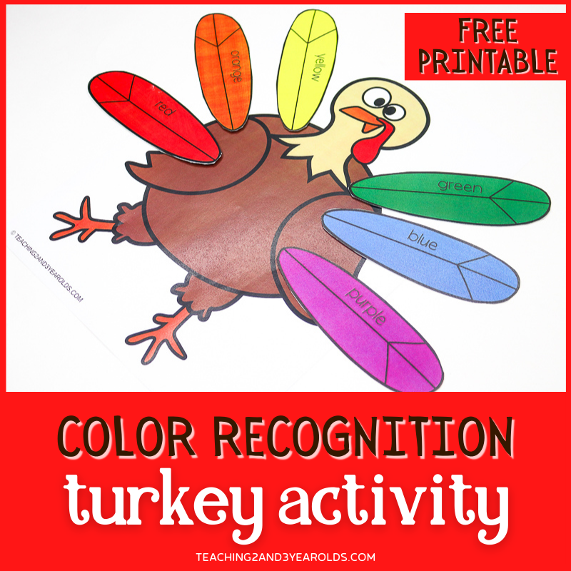 Thanksgiving turkey printable that works on color skills