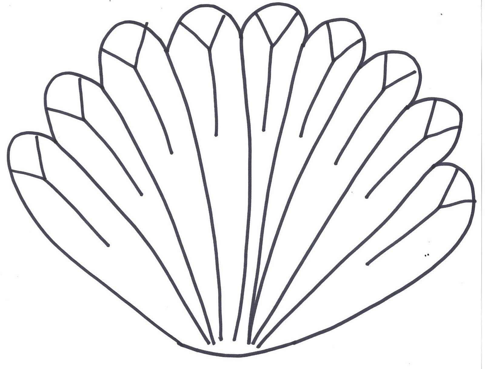 Turkey feathers coloring pages