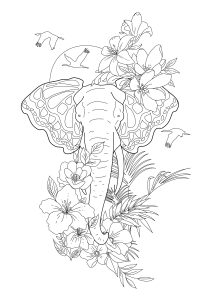 Elephants
