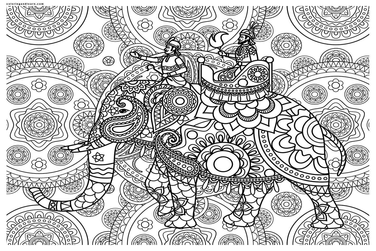 Indian elephant and maharaja coloring page