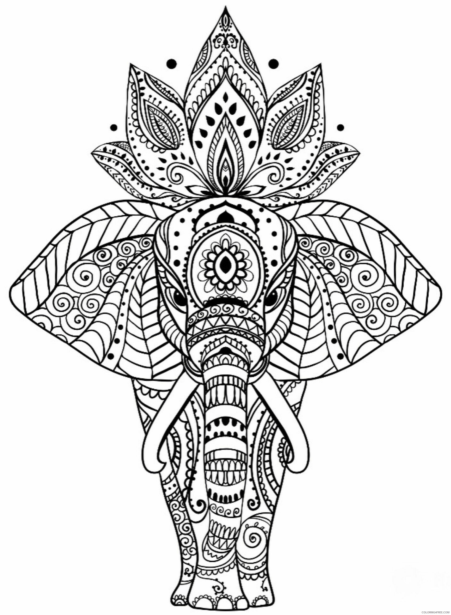 Digital adult elephant coloring page