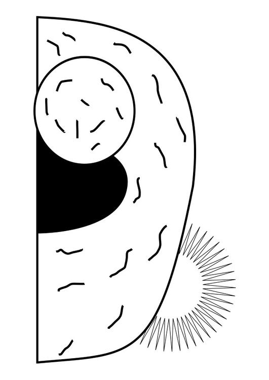 Coloring page empty tomb
