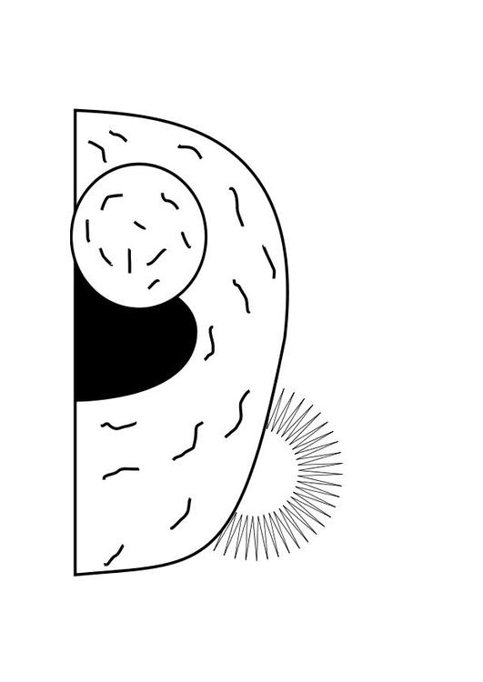 Coloring page empty tomb