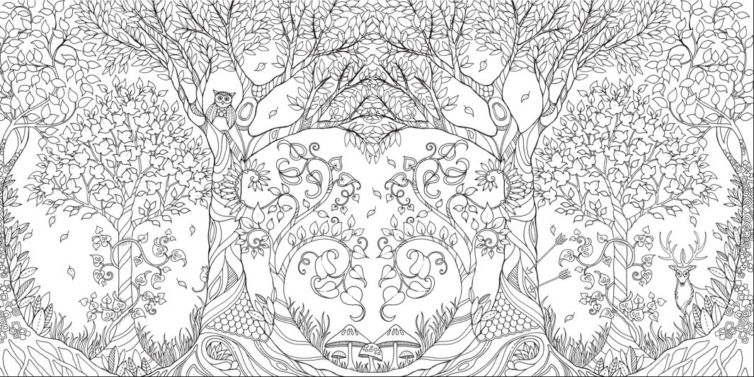 Johanna basford enchanted forest secret garden addictive coloring books for grown